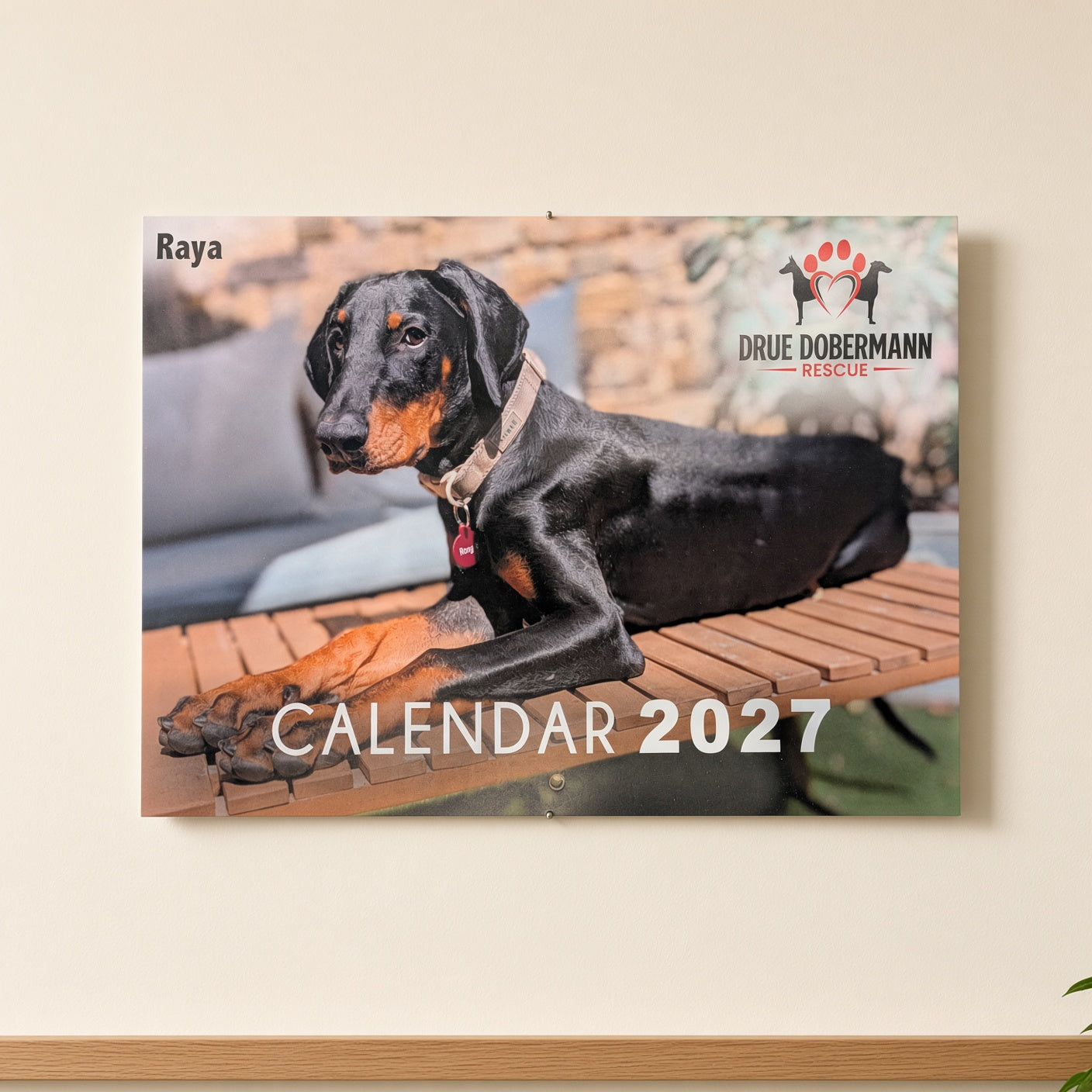 DRUE Calendar 2027 cover